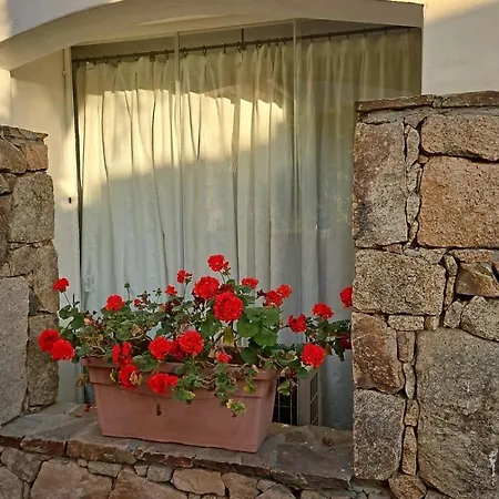Casa Smeralda By Ca-sa Check *